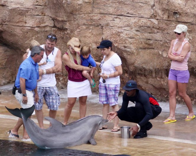 britney_spears_dolphins_MX0052009_154