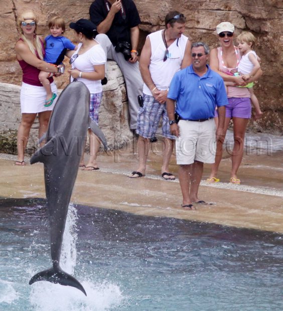 britney_spears_dolphins_MX0052009_158