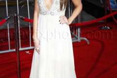101708-hsm33.jpg