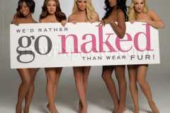 102408-danity-kane2.jpg