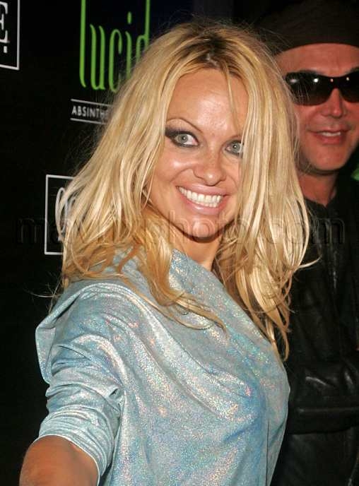 blog_120708_pamela_anderson_01.jpg