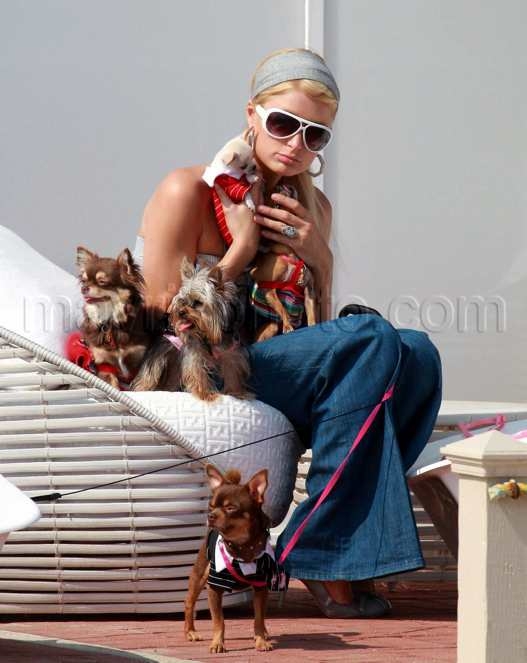 91908-paris-hilton.jpg