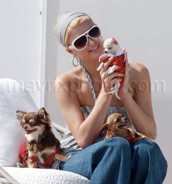 91908-paris-hilton2.jpg