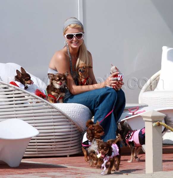 91908-paris-hilton3.jpg
