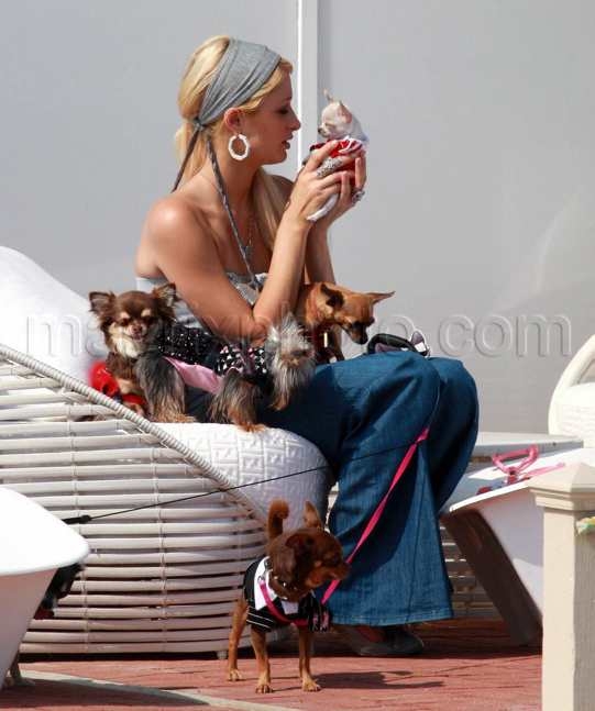 91908-paris-hilton4.jpg