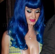 6_9_10_Katy Perry Smurf Wig_264
