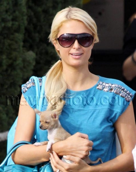 11_8_10_Paris Hilton Puppy_109