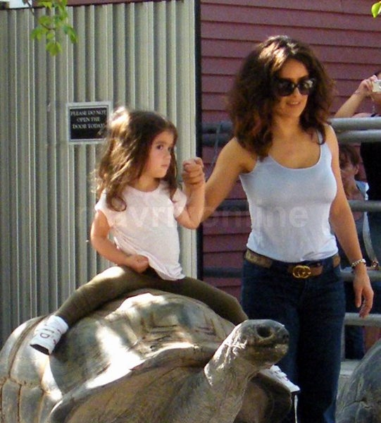 Salma Hayek Tortoise_4_25_11_30