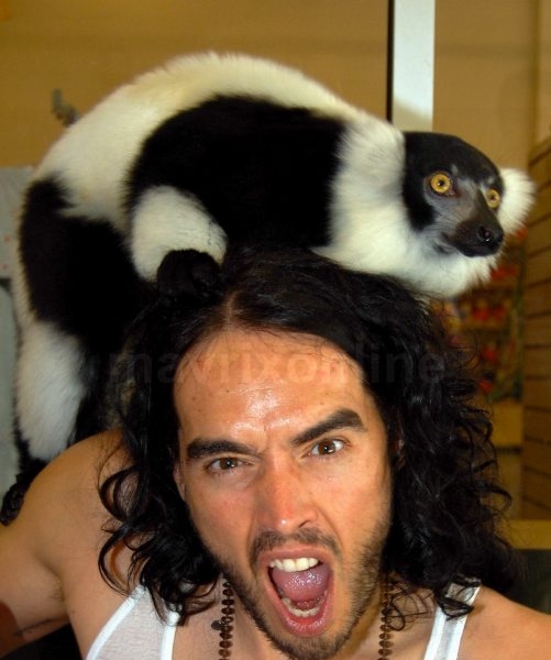 Russell Brand Jungle Island_5_10_11_35