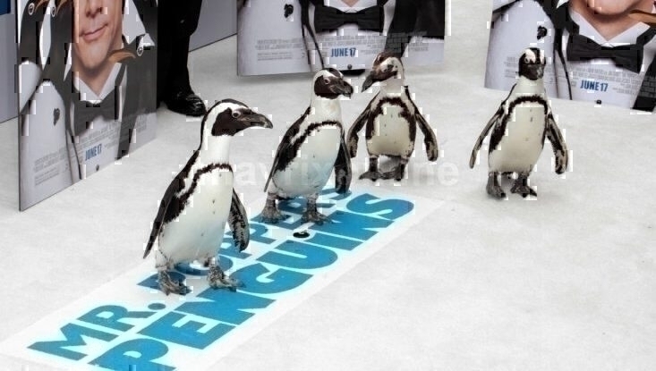 Mr Poppers Penguins Premiere_6_13_11_139